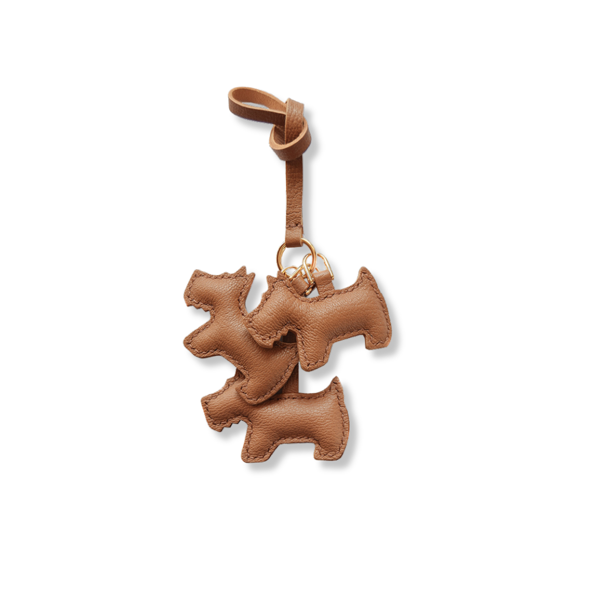 Hunde3.png